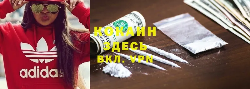 Cocaine Боливия  Бакал 